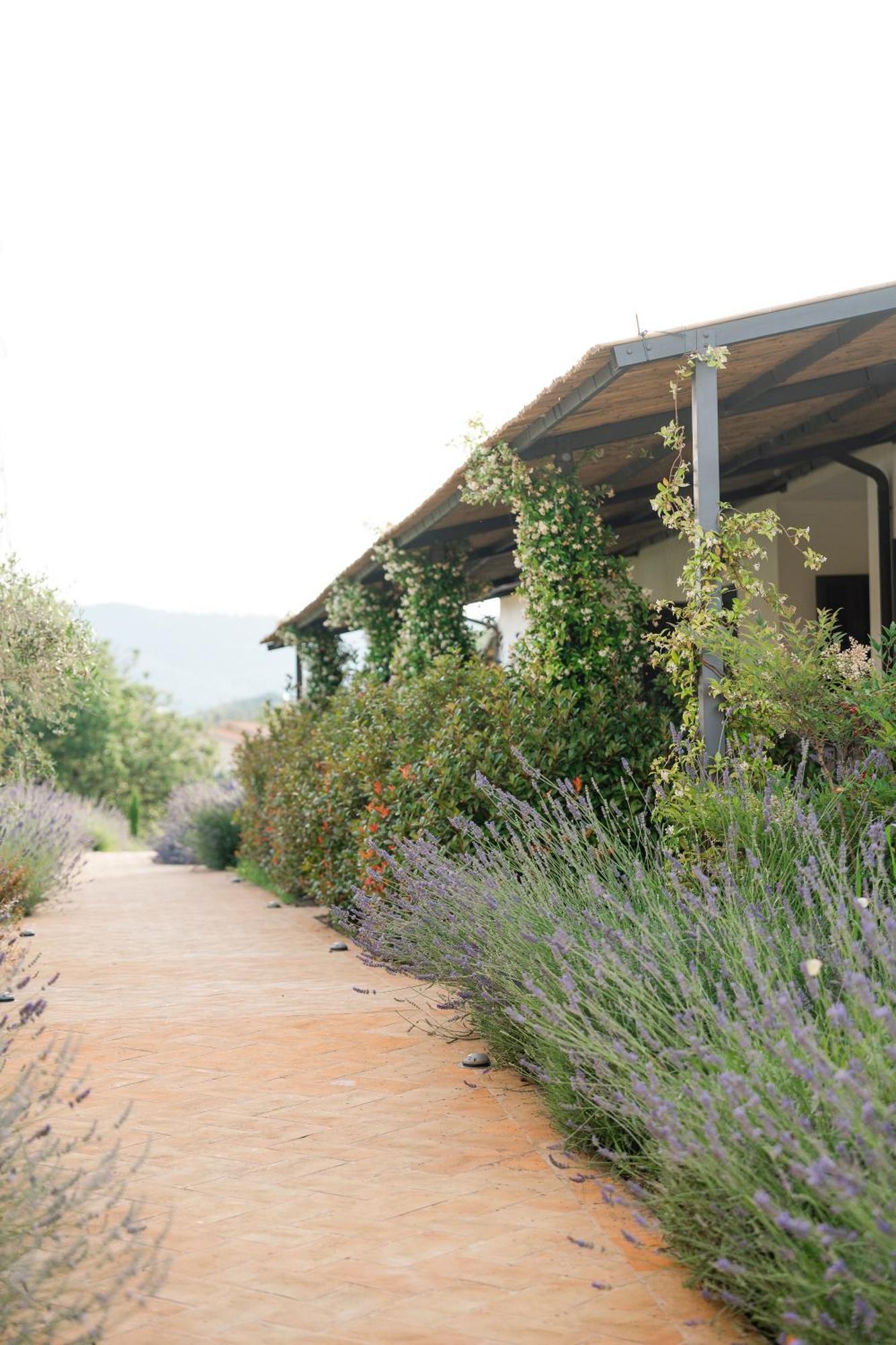 Hortus Natural Living トーディ エクステリア 写真